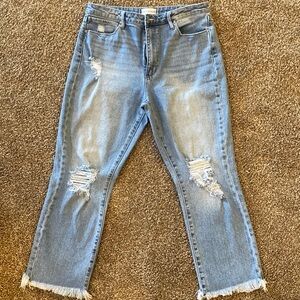 Articles of Society Capri Jeans, Size 30